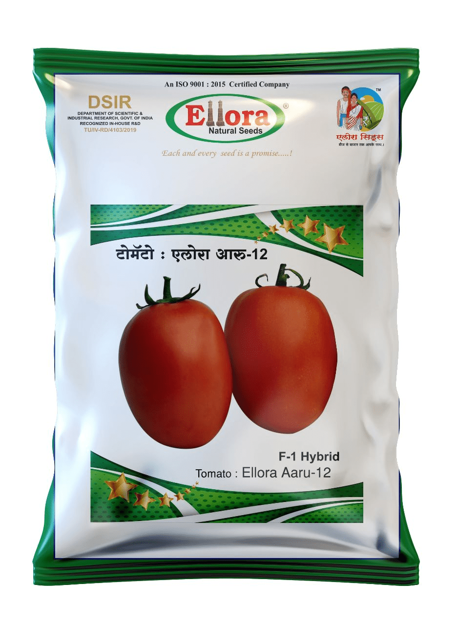 Ellora Aru (12)