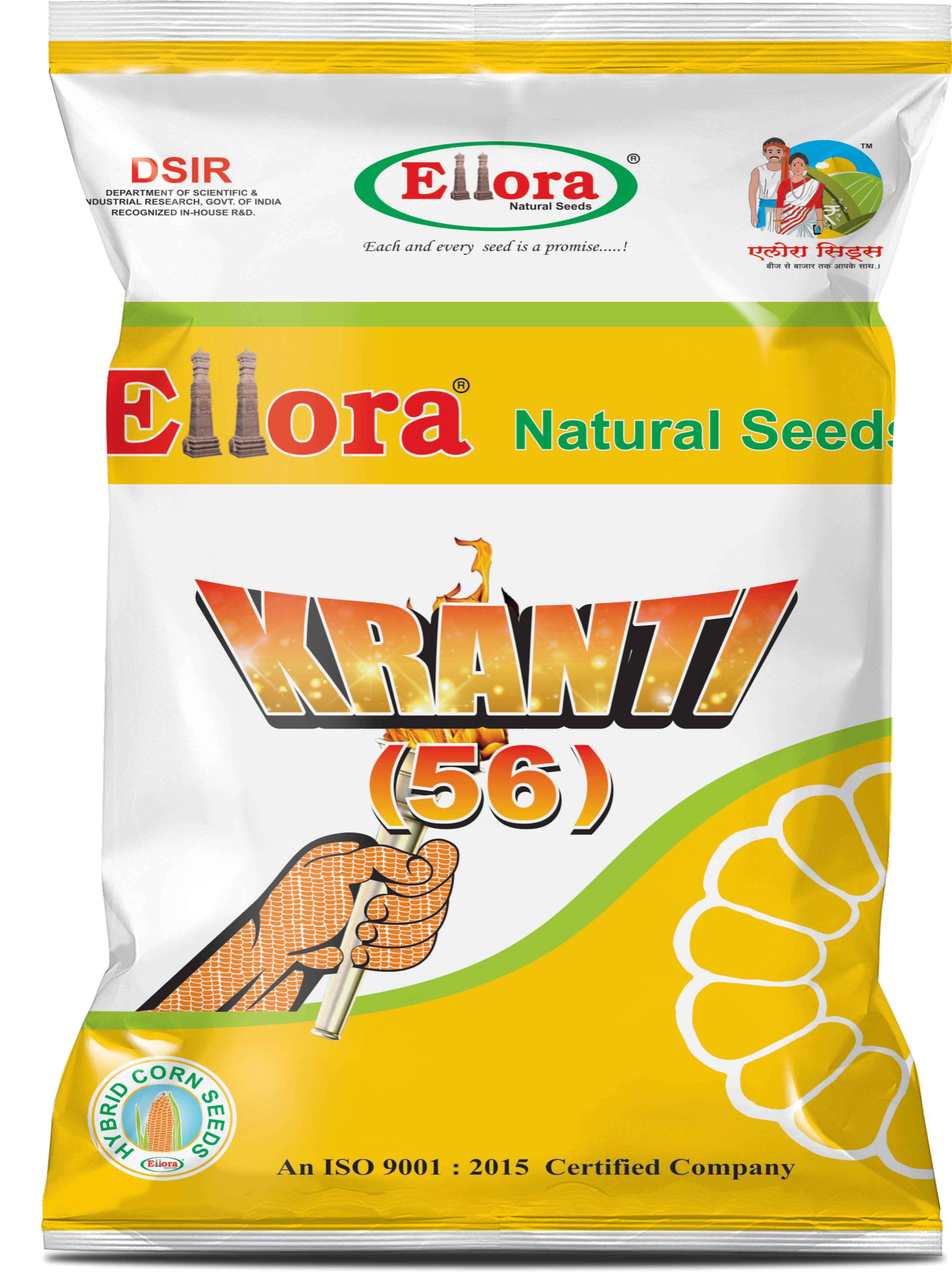 Ellora Kranti (56)