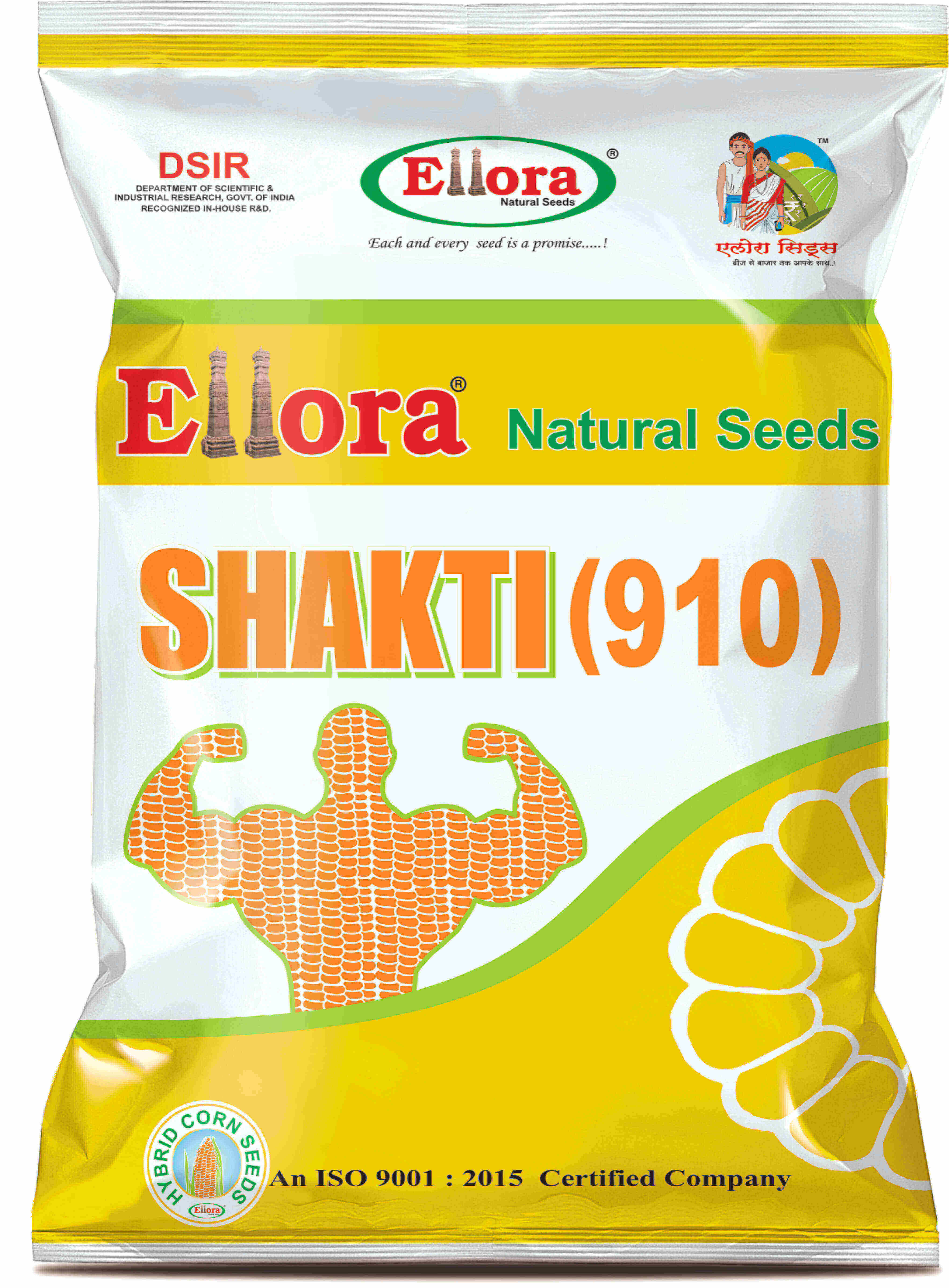 Ellora Shakti (910)