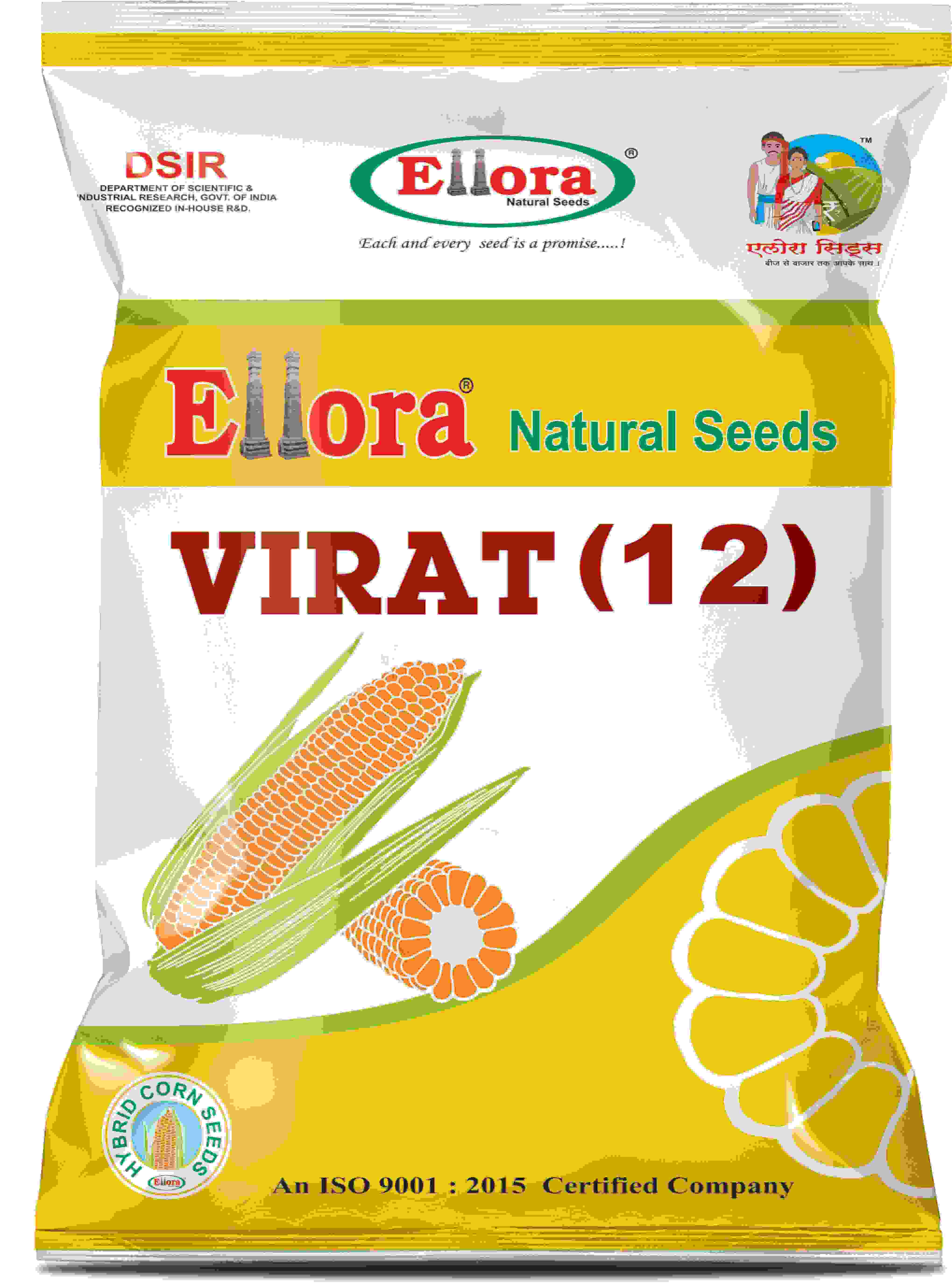 Ellora Virat (12)