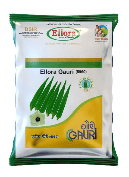 Ellora Gauri (5960)